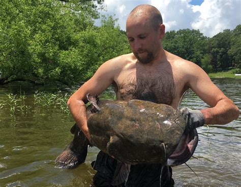 noodling definition catfish|Catfish Noodling 101 .